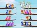 Spiel Vogel Sortier Puzzle Online