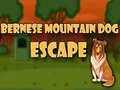 Spiel Flucht des Berner Sennenhundes Online