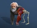 Spiel Inaktive Evolution: Von der Zelle zum Menschen Online