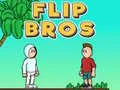 Spiel Flip Brüder Online