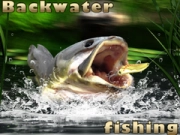 Spiel Angeln im Hinterwasser Online