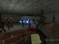 Spiel Call of Duty: Zombies Online