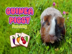 Spiel Meerschweinchen-Matching Online