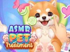 Spiel ASMR-Haustierbehandlung Online