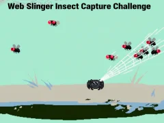 Spiel Web Slinger-Insektenfang-Herausforderung Online