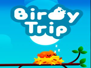 Spiel Vogelreise Online