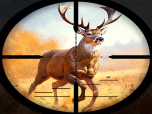 Spiel Wilder Jagdkampf Online