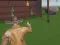 Spiel Cowboy-Shooter Online