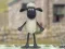 Spiel Shaun das Schaf: Wolliger Springer! Online