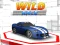 Spiel Wilde Rennerei Online