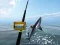 Spiel Azurblaues Meer Angeln Online