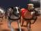 Spiel Greyhound-Rennsport Online