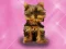 Spiel Haustiere waschen Prinzessin Kinder Online