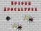 Spiel Spinnen-Apokalypse Online