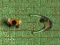 Spiel Labyrinth der Infektion Online