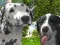 Spiel Hundesimulator 3D Online