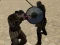Spiel Gladiator-Simulator Online