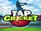Spiel Tap Cricket Online