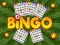 Spiel Bingo Online