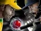 Spiel Cricket-Weltmeisterschaft Online