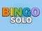 Spiel Bingo Solo Online
