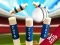Spiel Mini Cricket: Bodenmeisterschaft Weltmeisterschaft 2019 Online