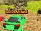 Spiel Dino Auto Rennen Online