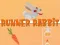 Spiel Läufer Hase Online
