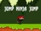Spiel Spring Ninja Spring Online