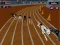 Spiel Verrücktes Hund Racing-Fieber Online