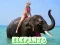 Spiel Elefanten-Puzzle Online