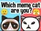 Spiel Welcher Meme-Kater bist du? Online