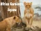 Spiel Afrika Raubtier Puzzle Online