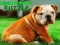Spiel Bulldog Welpen Puzzle Online