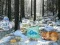 Spiel Winterwunderland Wald Abenteuer Online