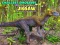 Spiel Das kleinste Dinosaurier-Puzzle Online