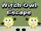 Spiel Eule Hexen Flucht Online