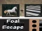 Spiel Fohlenflucht Online