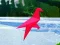 Spiel Vogelschießen Online Spiel Vogelschießen Online