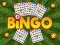 Spiel Bingo Enthüllt Online