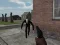Spiel Die Dämmerung von Slenderman Online