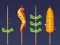 Spiel Grillspiel Online