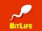 Spiel BitLeben Online
