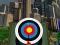 Spiel Bogenmeister 3D Online