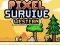 Spiel Pixel Überleben Westen Online