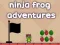 Spiel Ninja-Frosch-Abenteuer Online