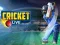 Spiel Cricket Live Online