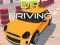 Spiel Dr Fahren Online