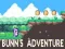 Spiel Bunns Abenteuer Online