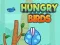 Spiel Hungrige Vögel Online